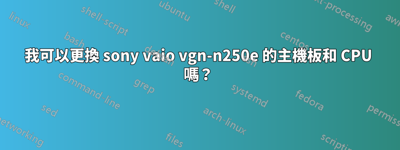 我可以更換 sony vaio vgn-n250e 的主機板和 CPU 嗎？