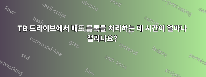 1TB 드라이브에서 배드 블록을 처리하는 데 시간이 얼마나 걸리나요?