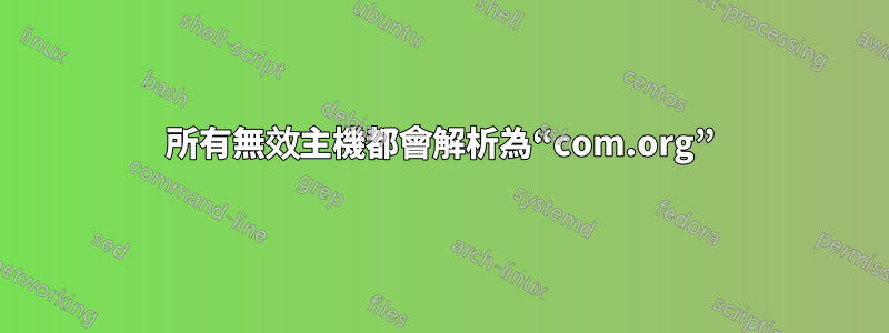 所有無效主機都會解析為“com.org”