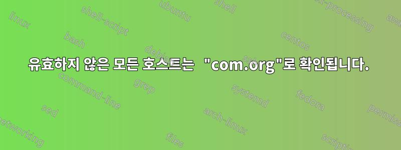 유효하지 않은 모든 호스트는 "com.org"로 확인됩니다.