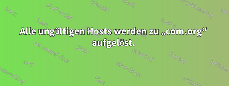 Alle ungültigen Hosts werden zu „com.org“ aufgelöst.