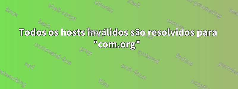 Todos os hosts inválidos são resolvidos para "com.org"