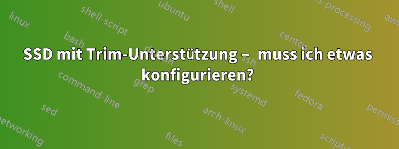 SSD mit Trim-Unterstützung – muss ich etwas konfigurieren?