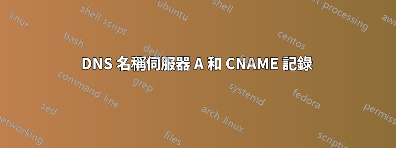 DNS 名稱伺服器 A 和 CNAME 記錄