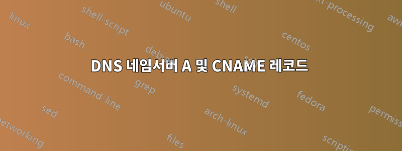 DNS 네임서버 A 및 CNAME 레코드