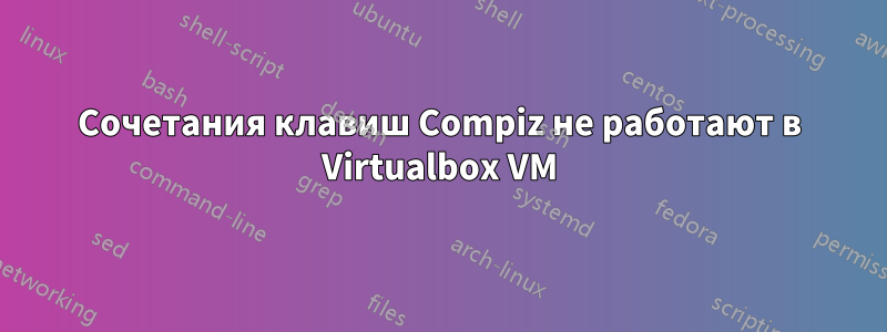 Сочетания клавиш Compiz не работают в Virtualbox VM