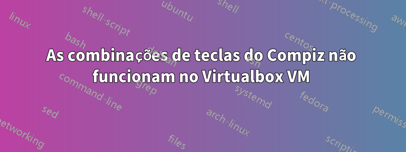 As combinações de teclas do Compiz não funcionam no Virtualbox VM