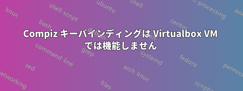 Compiz キーバインディングは Virtualbox VM では機能しません