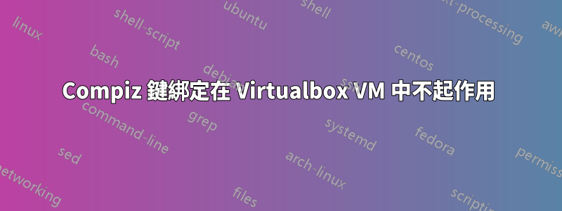 Compiz 鍵綁定在 Virtualbox VM 中不起作用