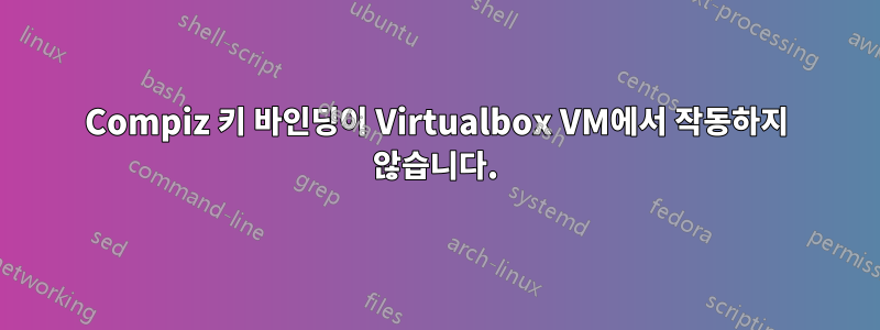 Compiz 키 바인딩이 Virtualbox VM에서 작동하지 않습니다.