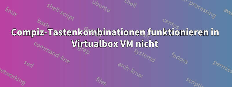 Compiz-Tastenkombinationen funktionieren in Virtualbox VM nicht