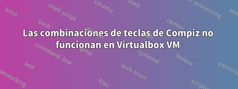 Las combinaciones de teclas de Compiz no funcionan en Virtualbox VM