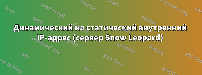 Динамический на статический внутренний IP-адрес (сервер Snow Leopard)