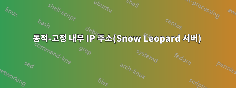 동적-고정 내부 IP 주소(Snow Leopard 서버)