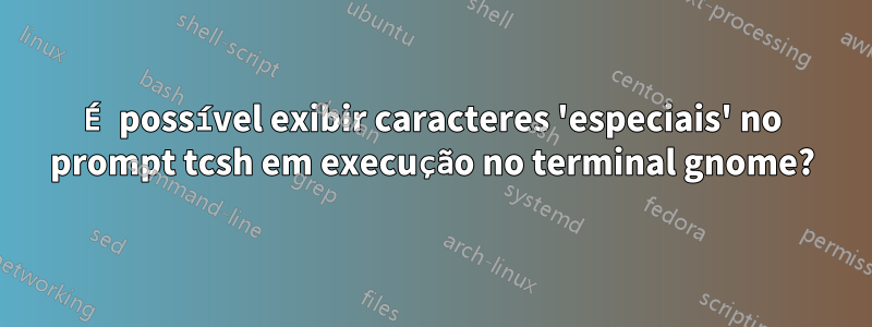 É possível exibir caracteres 'especiais' no prompt tcsh em execução no terminal gnome?