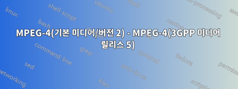 MPEG-4(기본 미디어/버전 2) - MPEG-4(3GPP 미디어 릴리스 5)