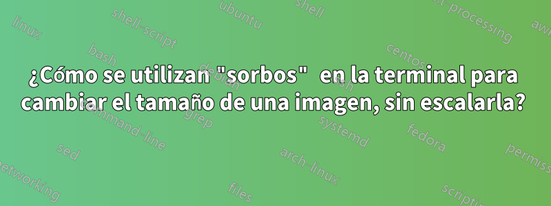 ¿Cómo se utilizan "sorbos" en la terminal para cambiar el tamaño de una imagen, sin escalarla?