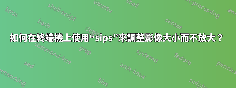 如何在終端機上使用“sips”來調整影像大小而不放大？