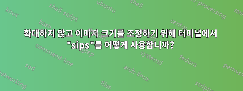 확대하지 않고 이미지 크기를 조정하기 위해 터미널에서 "sips"를 어떻게 사용합니까?