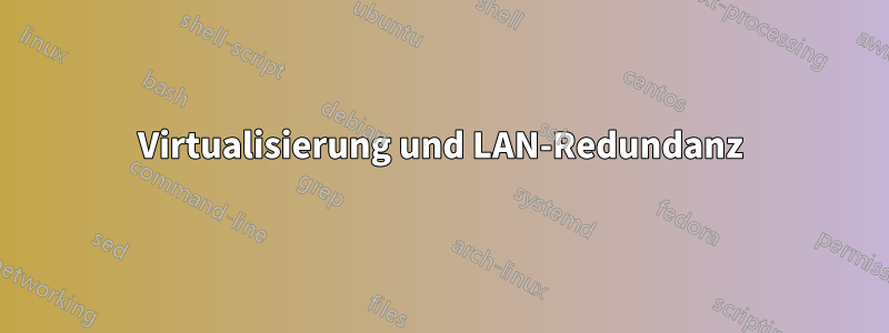 Virtualisierung und LAN-Redundanz