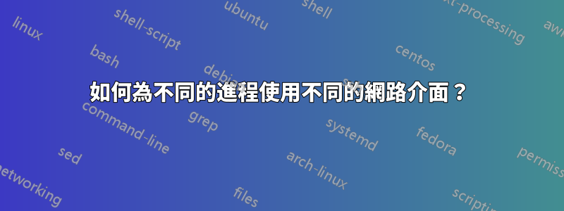 如何為不同的進程使用不同的網路介面？