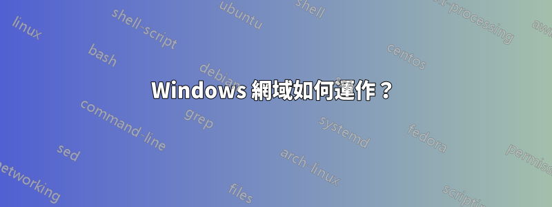 Windows 網域如何運作？