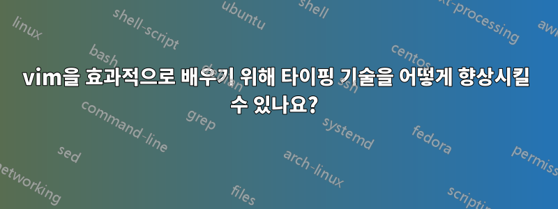 vim을 효과적으로 배우기 위해 타이핑 기술을 어떻게 향상시킬 수 있나요? 