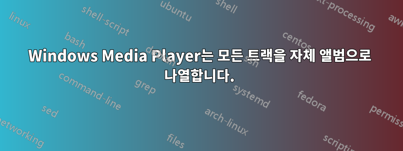 Windows Media Player는 모든 트랙을 자체 앨범으로 나열합니다.