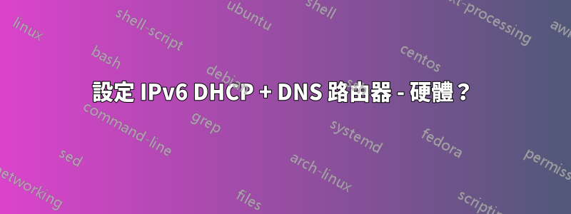 設定 IPv6 DHCP + DNS 路由器 - 硬體？