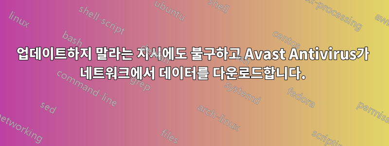 업데이트하지 말라는 지시에도 불구하고 Avast Antivirus가 네트워크에서 데이터를 다운로드합니다.