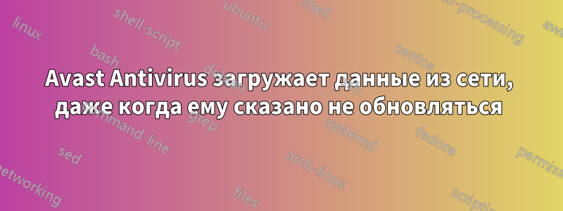 Avast Antivirus загружает данные из сети, даже когда ему сказано не обновляться