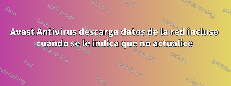 Avast Antivirus descarga datos de la red incluso cuando se le indica que no actualice