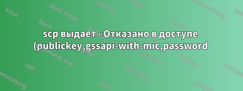 scp выдает «Отказано в доступе (publickey,gssapi-with-mic,password)»