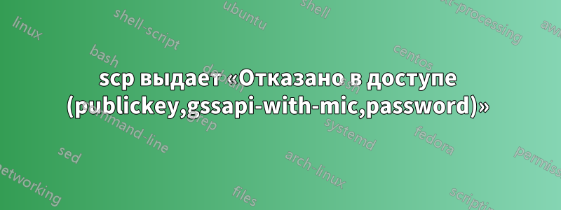 scp выдает «Отказано в доступе (publickey,gssapi-with-mic,password)»