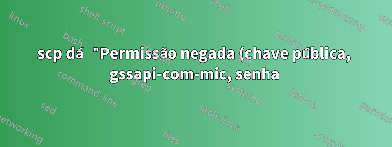 scp dá "Permissão negada (chave pública, gssapi-com-mic, senha)"