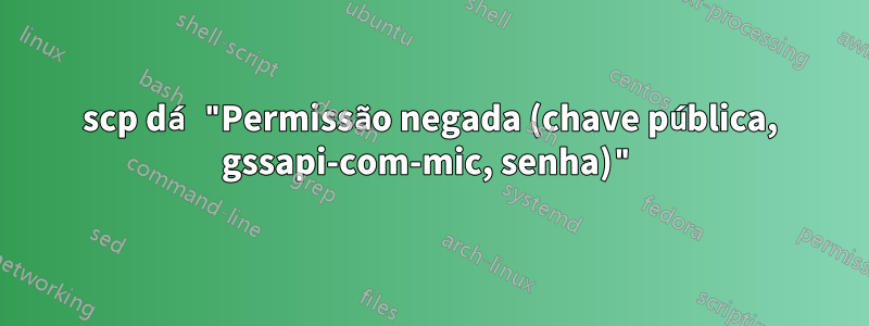 scp dá "Permissão negada (chave pública, gssapi-com-mic, senha)"