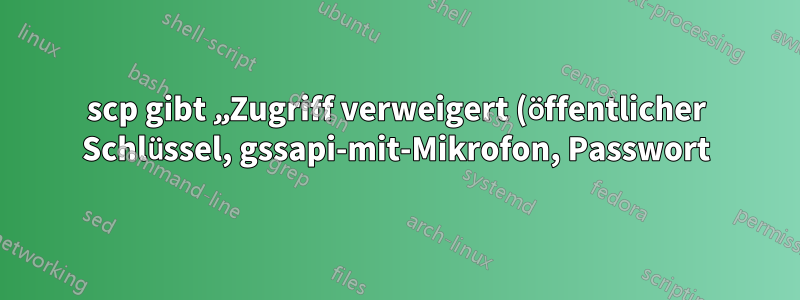 scp gibt „Zugriff verweigert (öffentlicher Schlüssel, gssapi-mit-Mikrofon, Passwort)“ aus