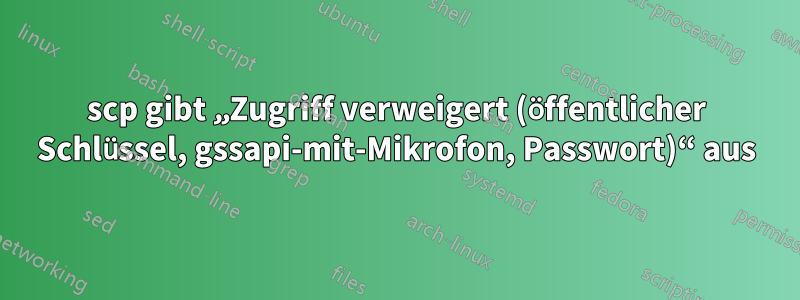 scp gibt „Zugriff verweigert (öffentlicher Schlüssel, gssapi-mit-Mikrofon, Passwort)“ aus