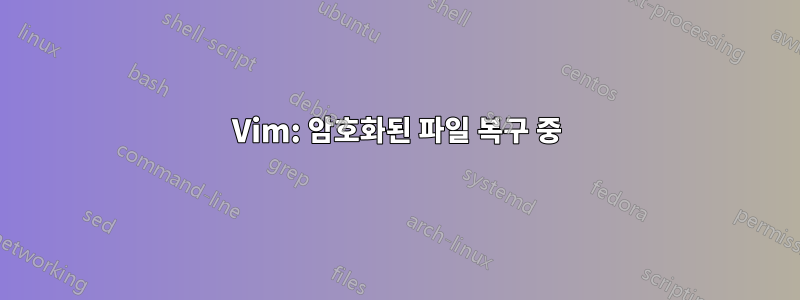 Vim: 암호화된 파일 복구 중