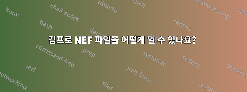 김프로 NEF 파일을 어떻게 열 수 있나요?