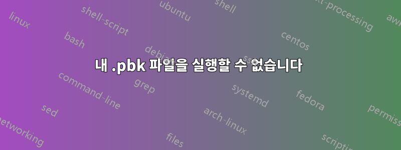 내 .pbk 파일을 실행할 수 없습니다