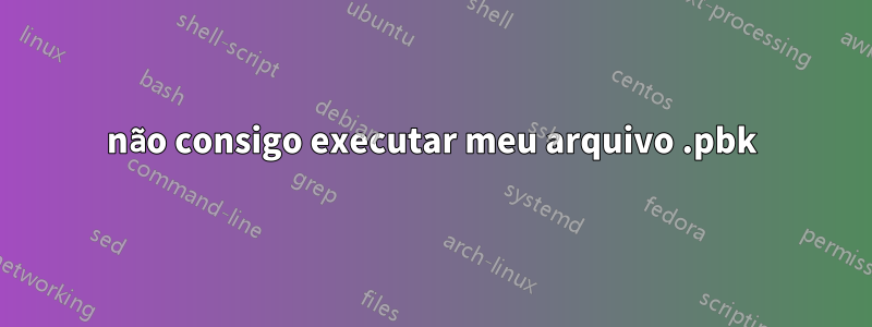 não consigo executar meu arquivo .pbk