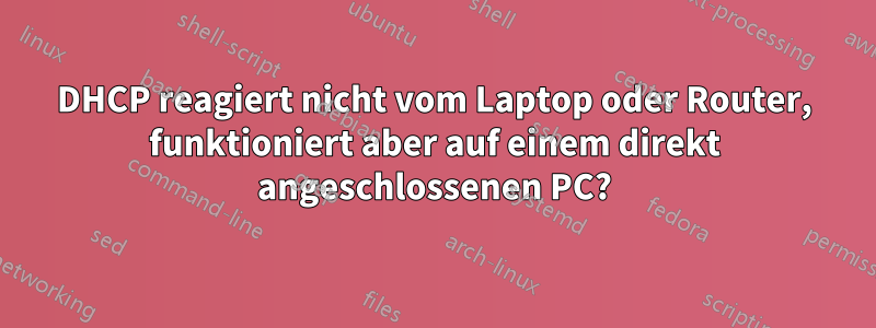 DHCP reagiert nicht vom Laptop oder Router, funktioniert aber auf einem direkt angeschlossenen PC?