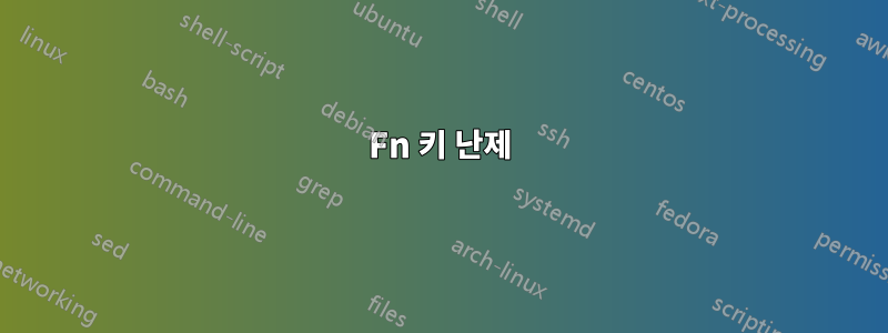 Fn 키 난제