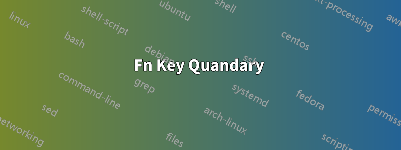 Fn Key Quandary