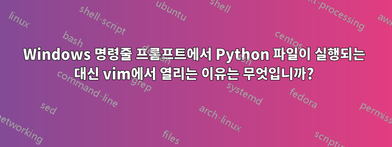 Windows 명령줄 프롬프트에서 Python 파일이 실행되는 대신 vim에서 열리는 이유는 무엇입니까?