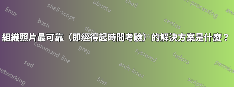 組織照片最可靠（即經得起時間考驗）的解決方案是什麼？