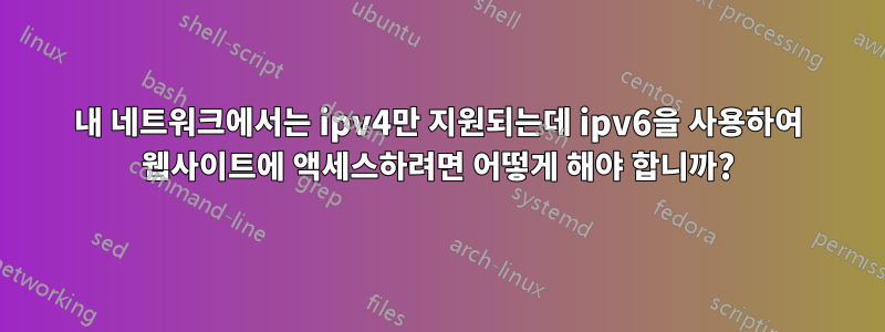 내 네트워크에서는 ipv4만 지원되는데 ipv6을 사용하여 웹사이트에 액세스하려면 어떻게 해야 합니까?