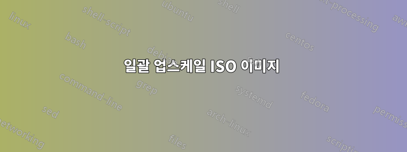 일괄 업스케일 ISO 이미지