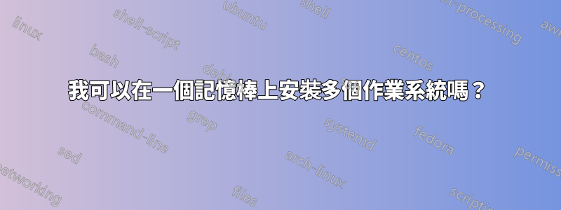 我可以在一個記憶棒上安裝多個作業系統嗎？